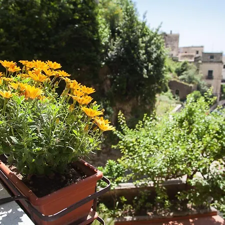 L'argine Fiorito Hotel